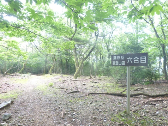 裏登山道六合目